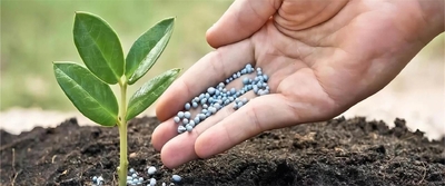 calidad Añadidos de la comida y de la alimentación fábrica