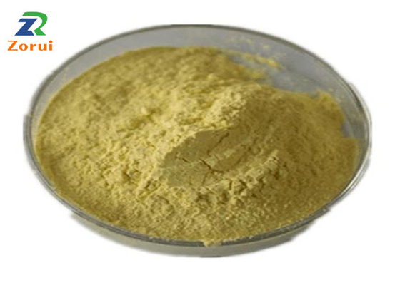 Un buen precio. Bulto del polvo de la quercetina del extracto de Japonica del Sophora para la tos CAS expectorante represivo 117-39-5 en línea