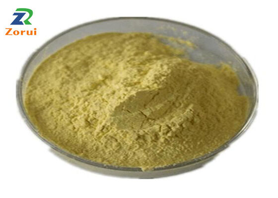 Un buen precio. Extracto de Sophora Japonica/ Quercetina en polvo para la tos supresor y expectorante CAS 117-39-5 en línea