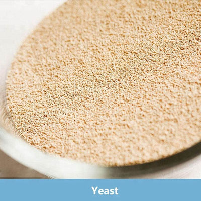 Un buen precio. Levadura seca instantánea baja en azúcar 500 g Envasado al vacío para levadura de pan en línea