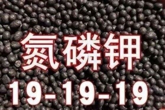 Un buen precio. Fertilizante compuesto NPK 19-19-19 Promover el crecimiento de las plantas y maximizar los rendimientos de los cultivos 19:19:19 en línea