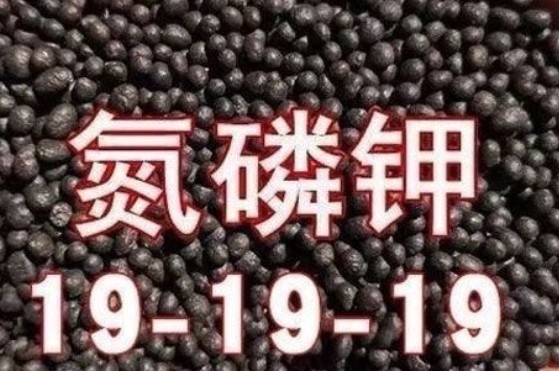 Un buen precio. NPK 19-19-19 Fertilizante compuesto que promueve el crecimiento de las plantas y maximiza los rendimientos de los cultivos 19:19:19 en línea