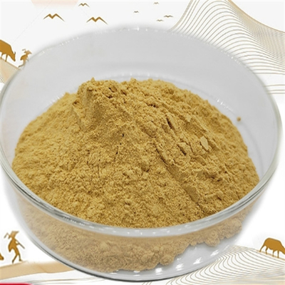 Un buen precio. CAS 90045-38-8 Extracto de ginseng Suplemento dietético Extracto de raíz de ginseng Panax en línea