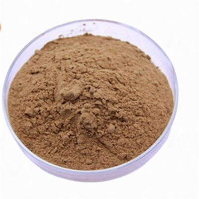 Un buen precio. Extracto de Ginkgo Biloba CAS 90045-36-6 Antioxidante de grado cosmético Flavonoides para el cuidado antienvejecimiento de la piel en línea