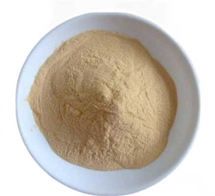 Un buen precio. CAS 8013-01-2 Potenciador del sabor Extracto de levadura de Saccharomyces Cerevisiae en línea