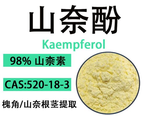 Un buen precio. CAS 520-18-3 Formulaciones antioxidantes y antienvejecimiento 98% Kaempferol polvo cristalino amarillo en línea