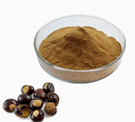 Un buen precio. CAS 8053-39-2 Extracto de semilla de Aesculus Hippocastanum Cosméticos antienvejecimiento Extracto de castaño de indias en línea