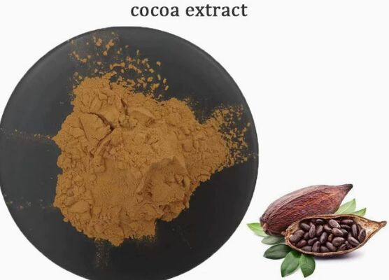 Un buen precio. Extracto de cacao de CAS 84649-99-0 Theobroma para extracto de cacao de alimentos y bebidas en línea