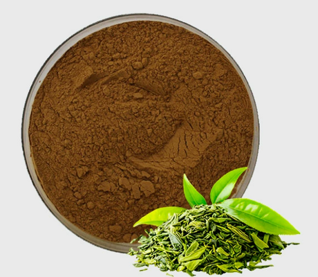 Un buen precio. Extracto de té verde de alta pureza EGCG Antioxidante natural Polvo de polifenol de té de grado cosmético en línea
